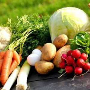 Nutrienții sunt elemente biologic semnificative. Elemente nutritive moderne: descriere, specie, rol