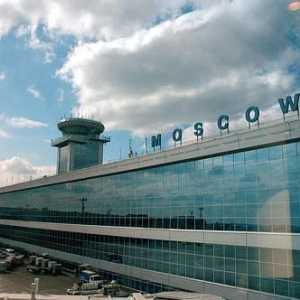 Despre cum să ajungi de la Vnukovo la Domodedovo