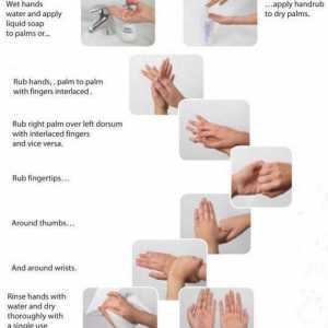 Tratamentul mâinilor personalului medical igienic: înseamnă, reguli