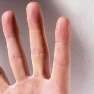 `Cercul cu degetul tău `- frazeologia. Semnificație și exemple