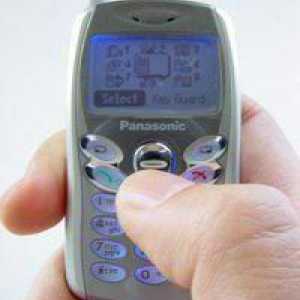 Prezentare generală a unui telefon miniatural Panasonic GD55
