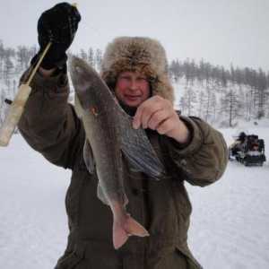 Vânătoare și pescuit în Siberia: principalele caracteristici