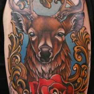 Deer (tatuaj): valoarea imaginii