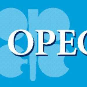 OPEC: decodificarea și funcțiile organizației. Lista țărilor OPEC