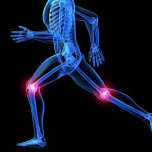 Funcționarea artroplastiei genunchiului: recenzii. Endoprotetice ale articulației genunchiului:…