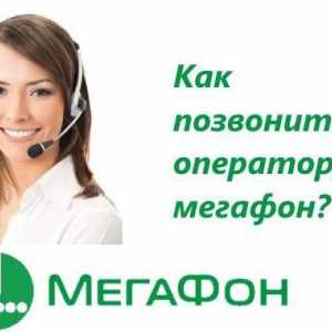 Operator "Megafon": cum să sunați sau să contactați compania