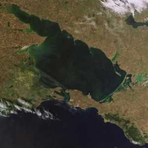 Descrierea mării Azov: zonă, adâncime și faună