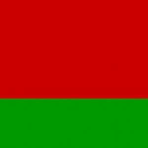 Descrierea steagului și a stemului din Belarus. Istoria emblemei țării