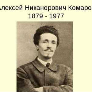 Descrierea picturii Komarov `Flood`, o scurtă biografie a artistului