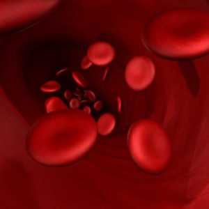 Determinarea tipului de sânge al unui copil de sângele părinților - de ce este necesar?