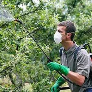 Pulverizarea pomilor fructiferi în toamnă va proteja viitoarea recoltă