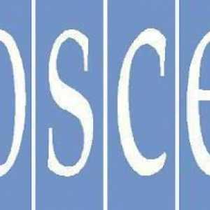 Organizația pentru Securitate și Cooperare în Europa (OSCE): structura, obiectivele