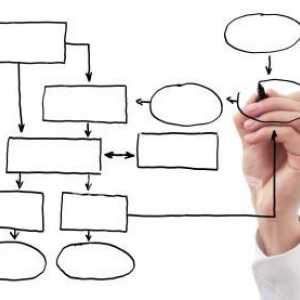 Structura organizațională a întreprinderii este un exemplu. Caracteristicile structurii…