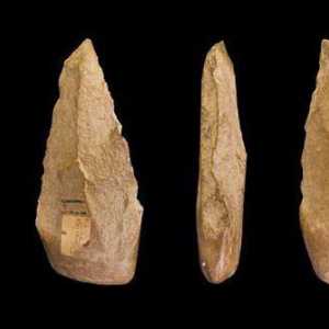 Орудие труда каменного века: фото с названиями