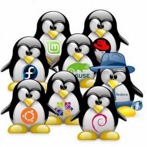 OS `Linux`. Ce este "Linux" rus: descriere, caracteristici și recenzii