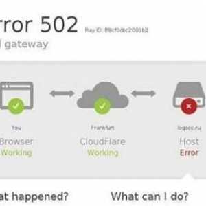 Eroarea 502 Bad Gateway - ce este? Cauze și soluții