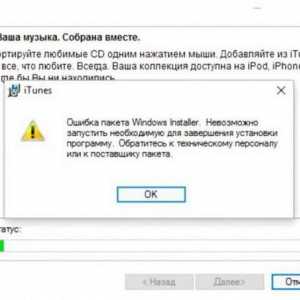 Eroare de instalare Windows Installer la instalarea iTunes: cum o pot remedia?