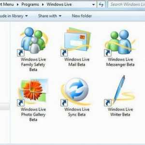 Principalele componente ale Windows Live - ce este acest program? Pot să o șterg?