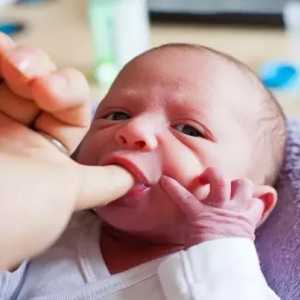 Reflexe principale ale nou-născuților: descriere, caracteristici și listă