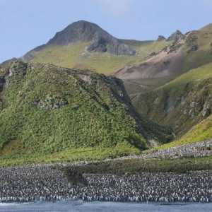 Caracteristici ale insulei Macquarie: locație geografică, natură și climă