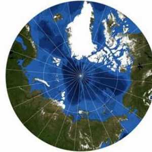 Dezvoltarea arcticului de către Rusia: istorie. Strategia de dezvoltare a Arcticii