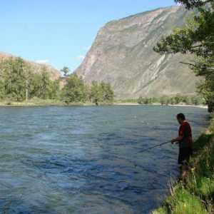 Recreere și pescuit în munții Altai. Caracteristici de pescuit în lacuri și râuri din Altai