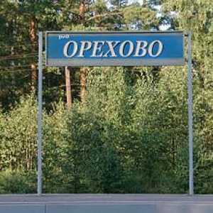 Restul în Orehovo (regiunea Leningrad)