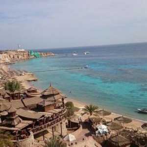 Hotel 4 * Sharm Cliff Resort (Egipt / Sharm El-Sheikh): recenzie a turiștilor