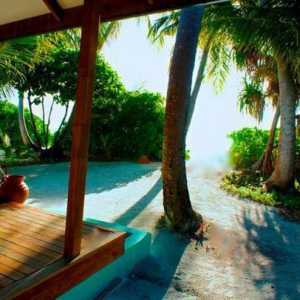 Canareef Resort Maldive 4 * (Maldive / Addu Atoll): prezentare generală, descriere, camere și…