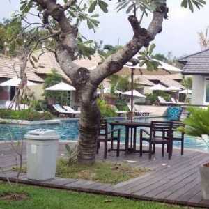 East Sea Resort Paradise 4 * (Pattaya): descriere, fotografii și recenzii