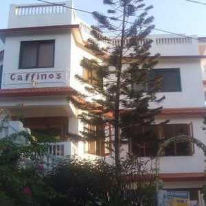 Gaffinos Beach Resort 2 * (India, Goa): comentarii și recenzii ale hotelurilor