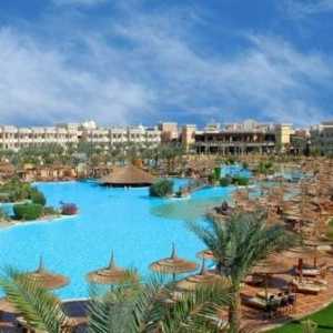 Hoteluri în Egipt. Albatros este o alegere excelentă