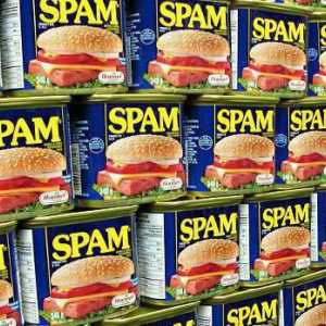 De unde a apărut cuvântul "spam"? origine