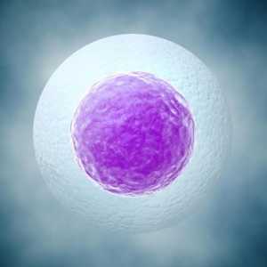 Detașarea oului fetal în primele etape ale sarcinii: cauze, simptome, consecințe