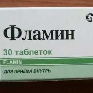 Comentarii: `Flamin`. Indicații pentru utilizare, descriere