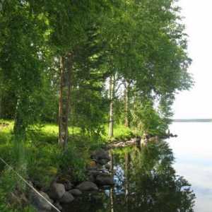 Lacul Gusinoye, cartierul Priozersky - un loc minunat pentru relaxare