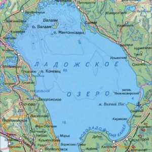 Lacul Ladoga: descriere, adâncime, relief, pește