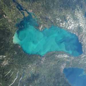 Lacul Ontario și ecosistemul său