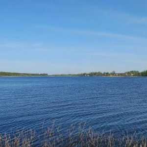 Lacul Orlinskoe: o descriere a rezervorului. Dăruire de viață și floră a Lacului Orlinsky