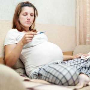 Foliile în timpul sarcinii în stadiile incipiente. Ce medicamente pot fi insarcinate?