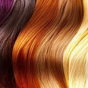 Paleta de culori de coloranți pentru păr: caracteristici ale selecției tonului