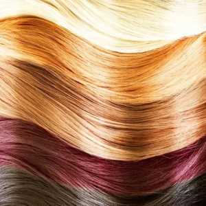 Paletă de vopsele pentru păr `Kapus`: rezultat întotdeauna fără nici un rezultat
