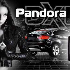 Pandora - alarmă prin satelit: prezentare generală, modele, caracteristici de instalare, manuale și…