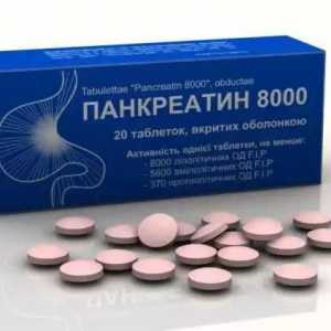 "Pancreatin 8000": instrucțiuni de utilizare. Tabletele "Pancreatin" din ce?