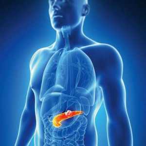 Pancreatită: ce este această boală, cauze, simptome, tratament