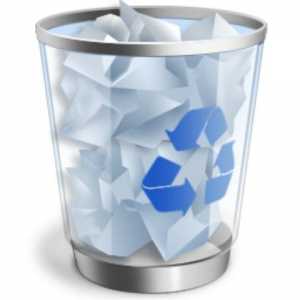 Folder Recycle Bin pe care îl aveți pe disc