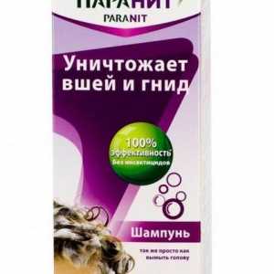 `Paranit` (sampon) - recenzii. Șampon anti-pedichiură