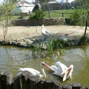 Parcul `Sunny Island` (Krasnodar): atracții, parc de safari, prețuri și adresă