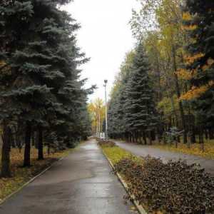 Parc `Vinnovsky Grove`, Ulyanovsk: adresa, poza, comentarii