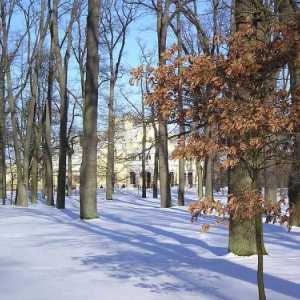 Parcurile din Sankt Petersburg: unde să mergeți pe timp de iarnă cu un copil și cu un câine